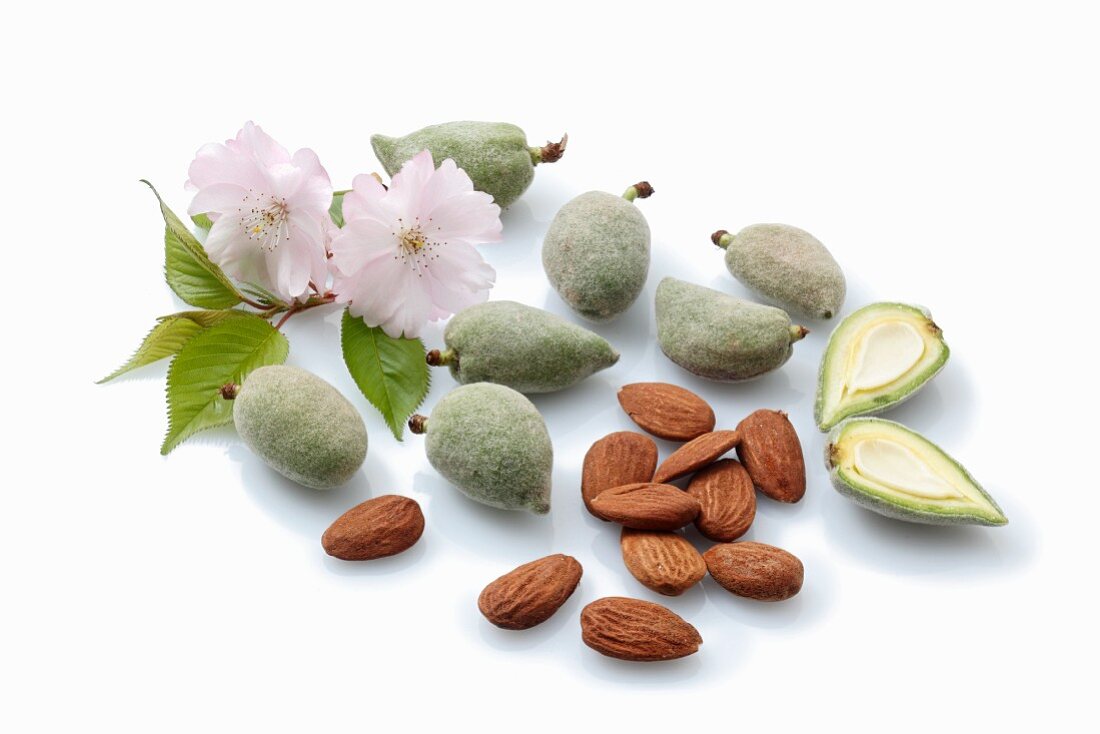 Green almonds, brown almond seeds and almond flowers