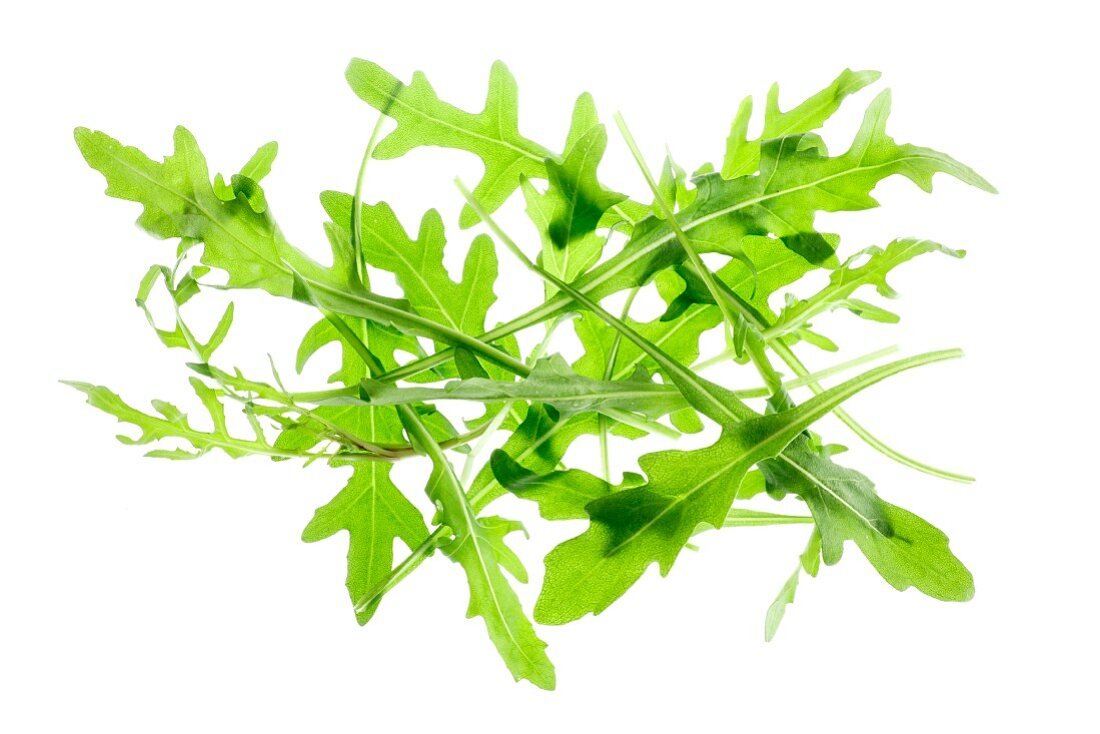 Rucola auf weißem Grund