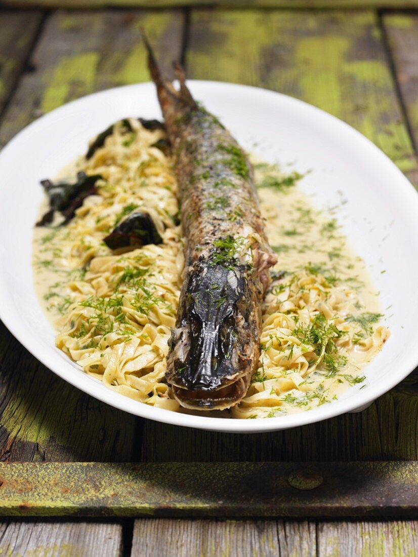 Hake on tagliatelle with dill