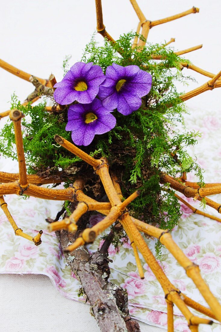 Flower arrangement made of dried mistletoe stems and dwarf petunia flowers