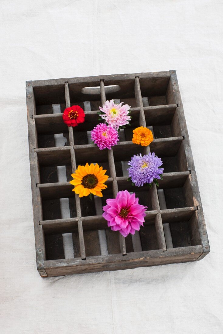 Assorted flowers (dahlia, zinnias, asters, sunflowers) stuck in an old beer crate