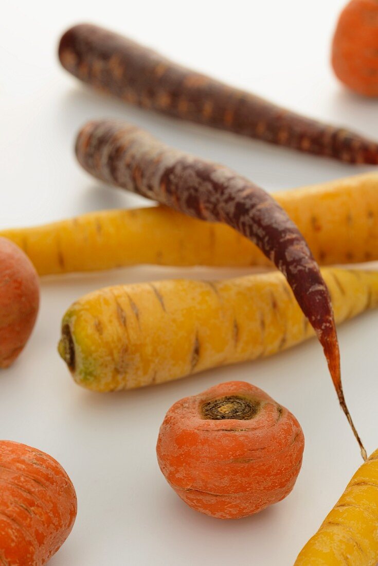 Various different coloured carrots