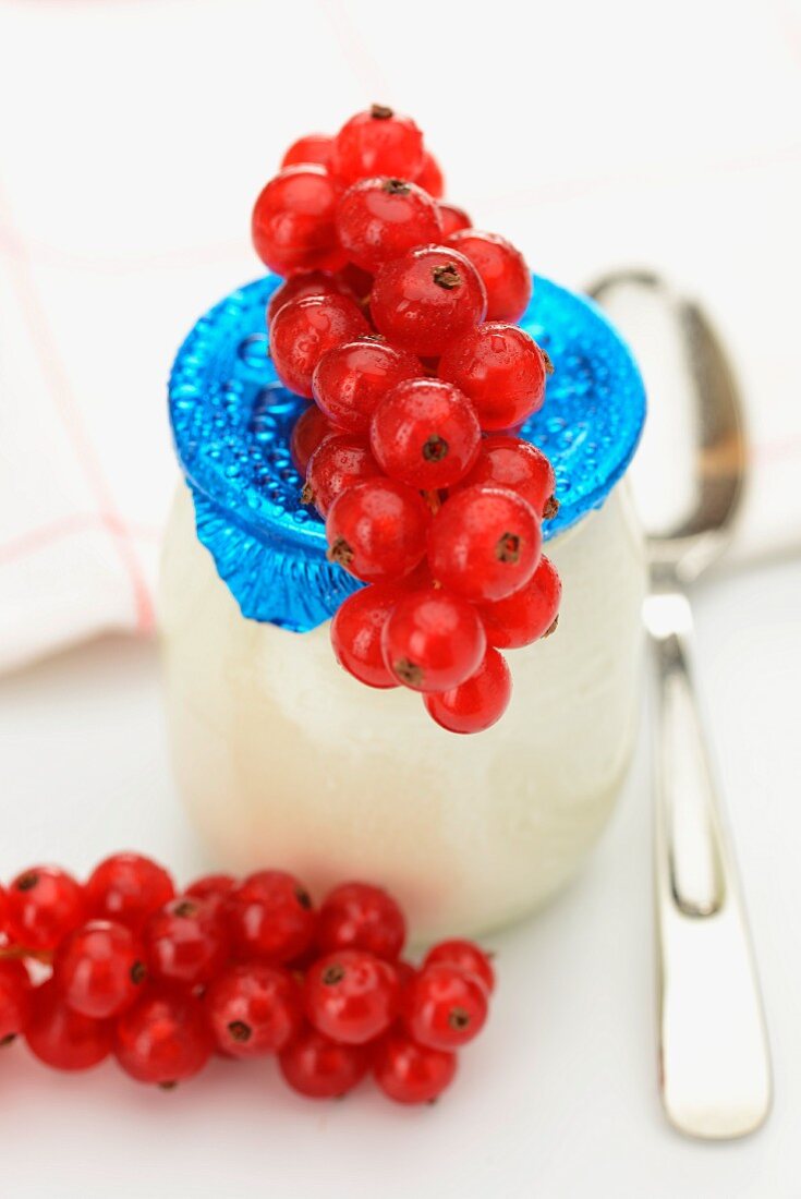 Naturjoghurt und rote Johannisbeeren