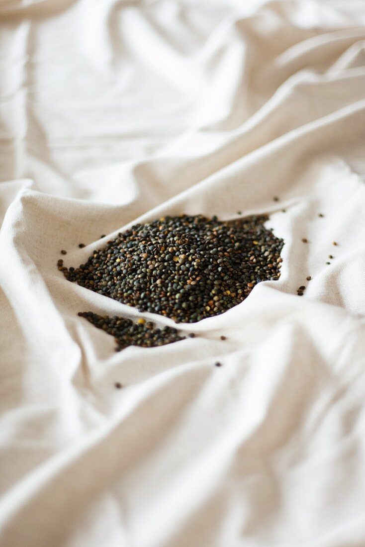 Puy lentils