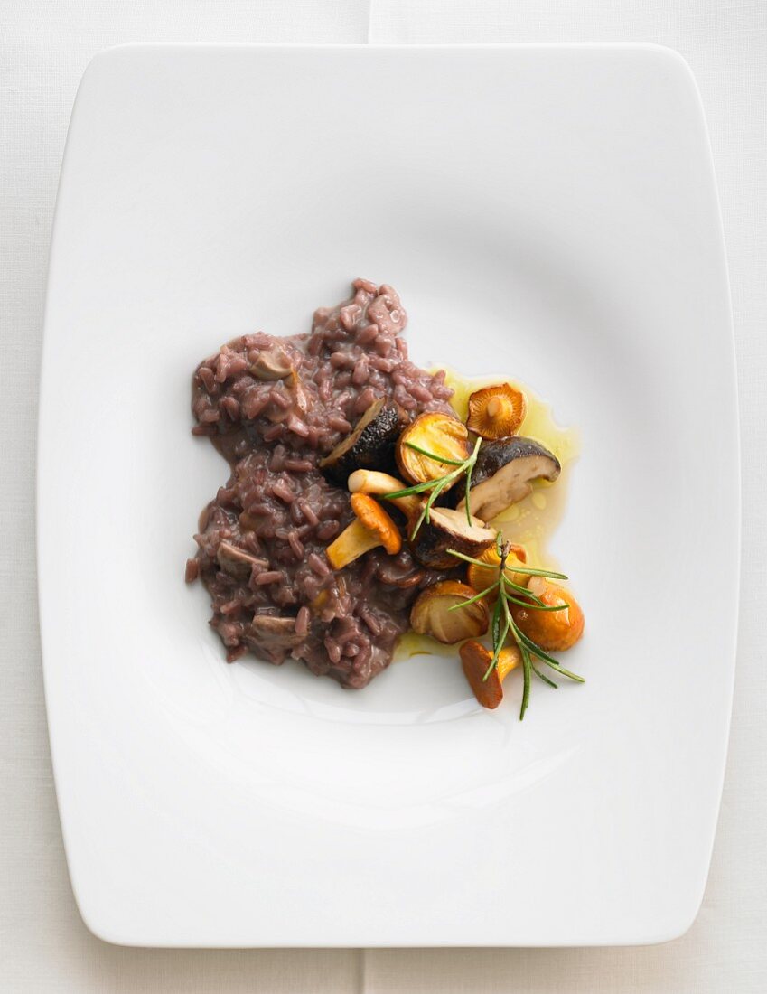 Red wine risotto with wild mushrooms and rosemary
