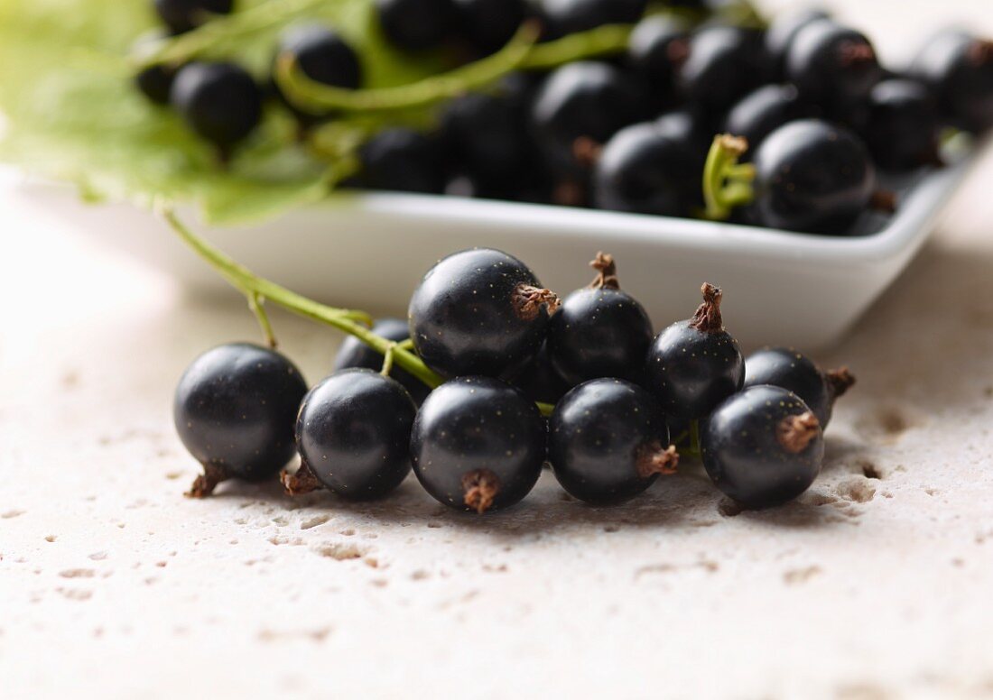 Schwarze Johannisbeeren, teilweise im Schälchen