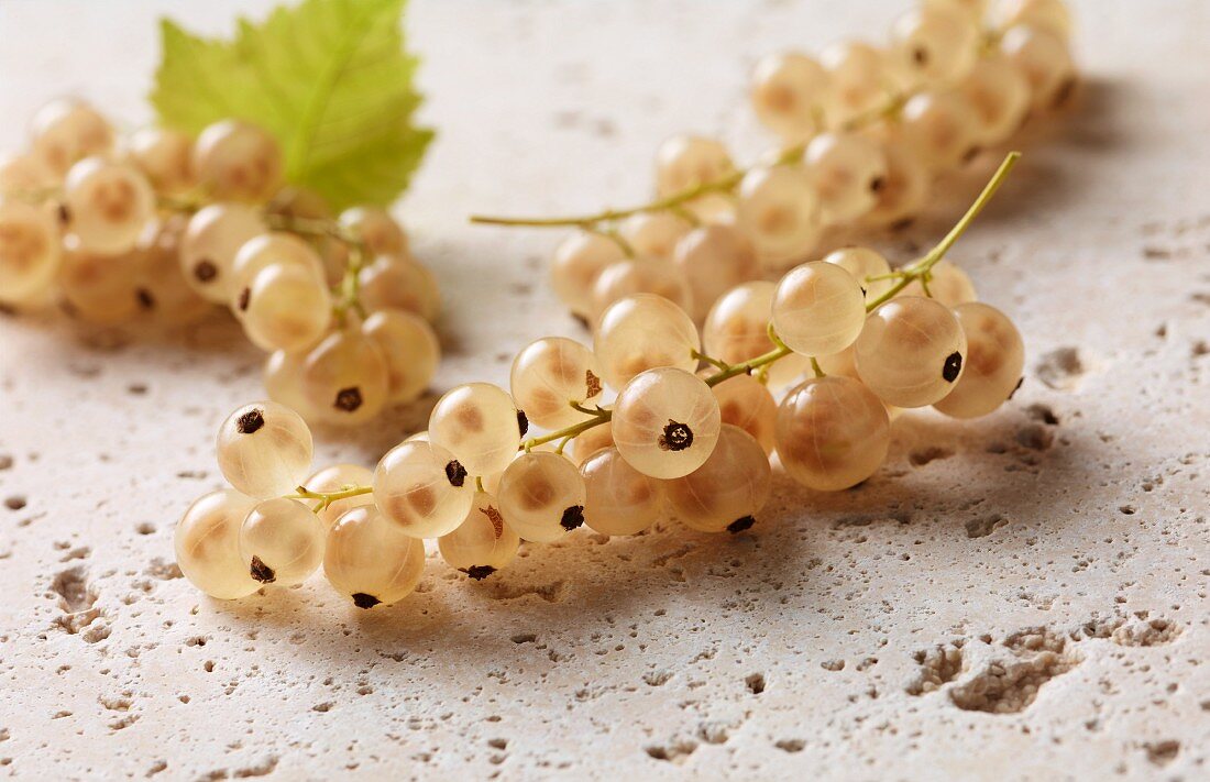 weiße Johannisbeeren mit Blatt