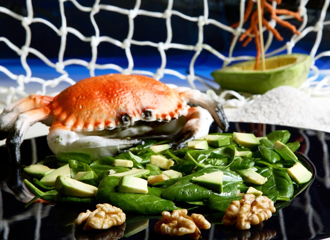 Spinach salad with avocado and walnuts with a plastic crab in the background