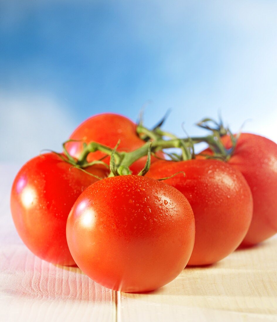 Frische Rispentomaten mit Wassertropfen