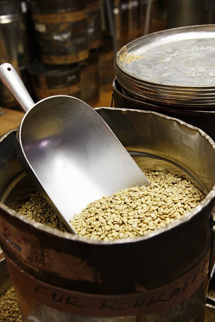 Unroasted coffee beans in a roasting house