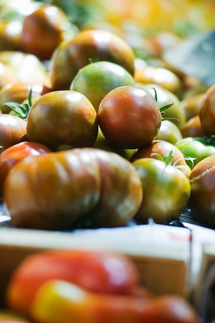 Tomaten auf Marktstand (Nahaufnahme)