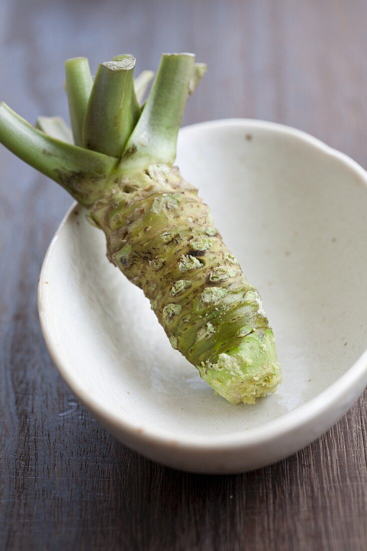 A wasabi root in a bowl