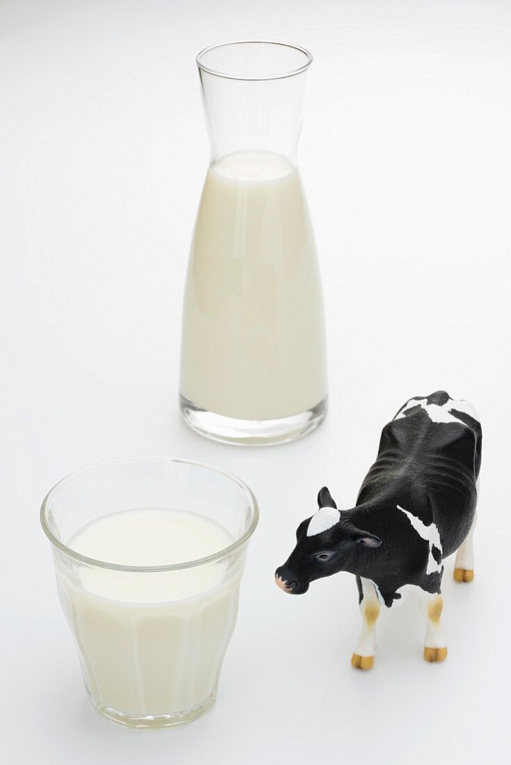 Milk in a glass and a carafe and a cow figurine