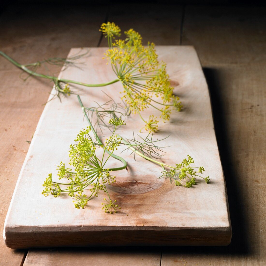 Dill flowers on a wooden board