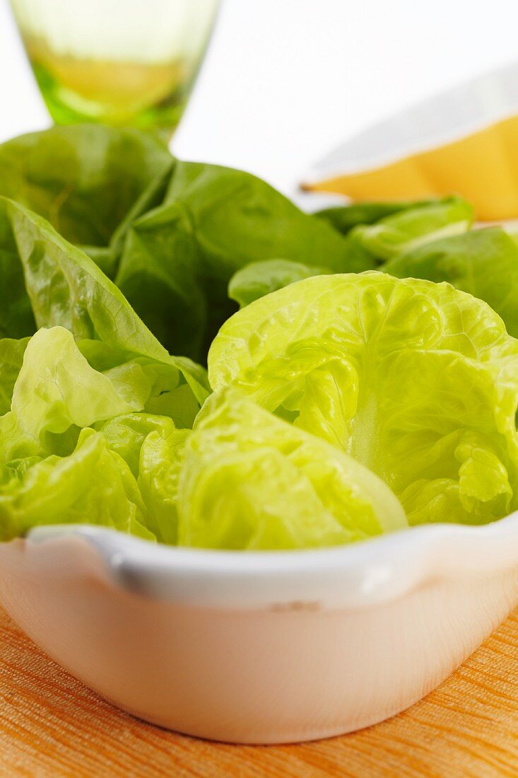 Fresh Crisp Butter Lettuce