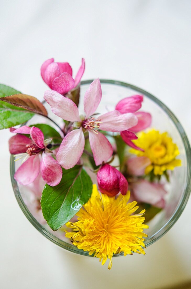 Frühlingsblumen im Wasserglas