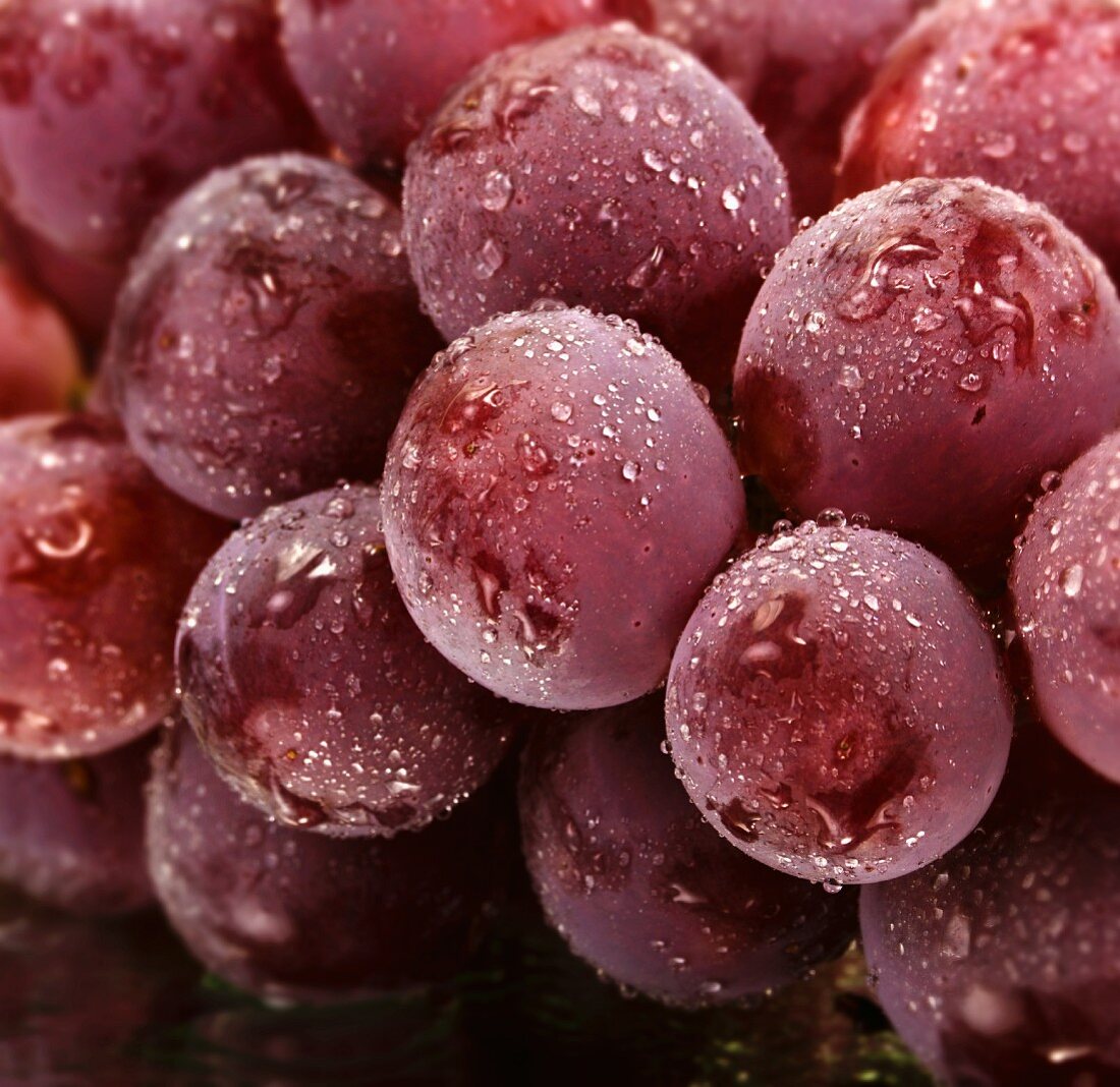 Rote Trauben mit Wassertropfen (Close Up)