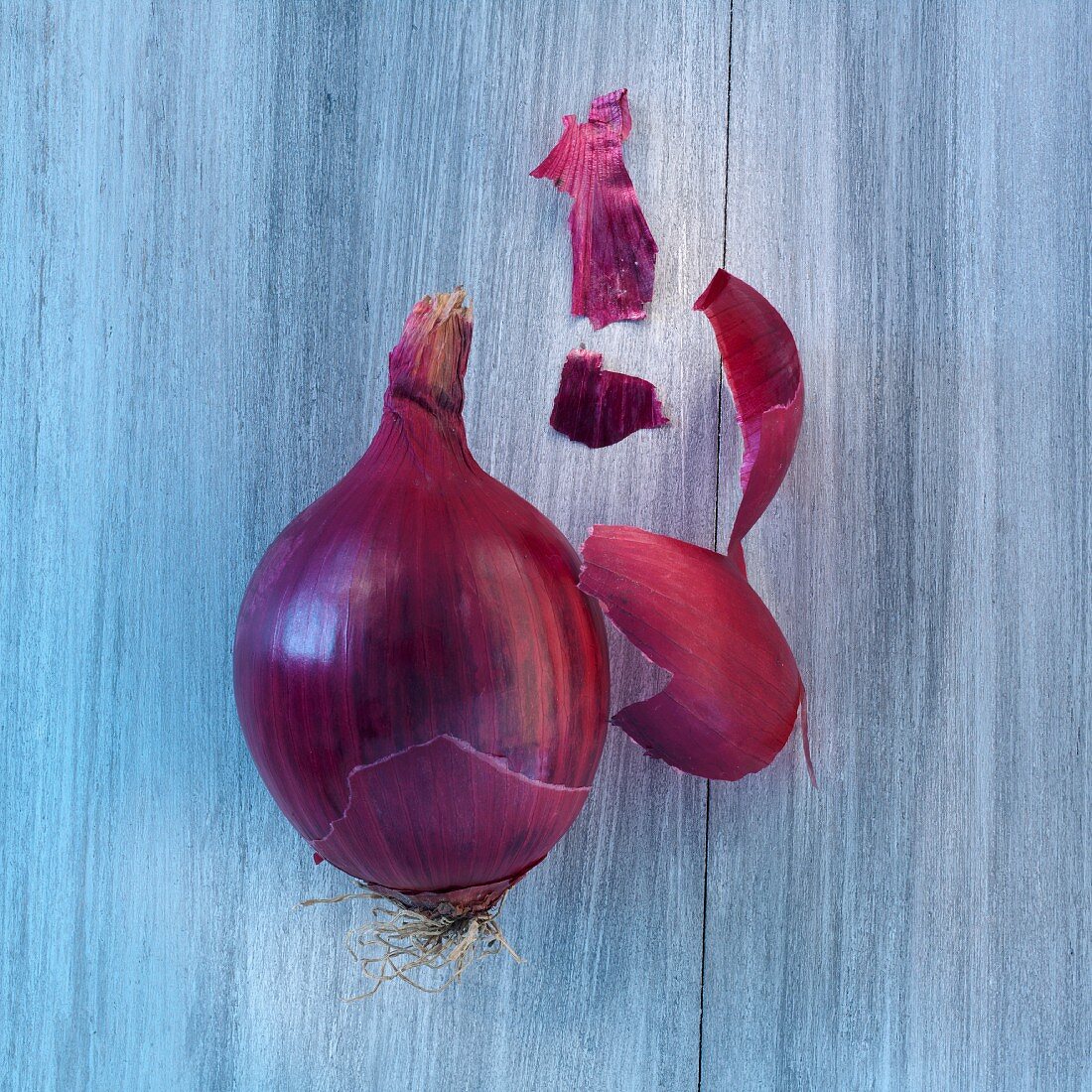 A red onion and onion skin