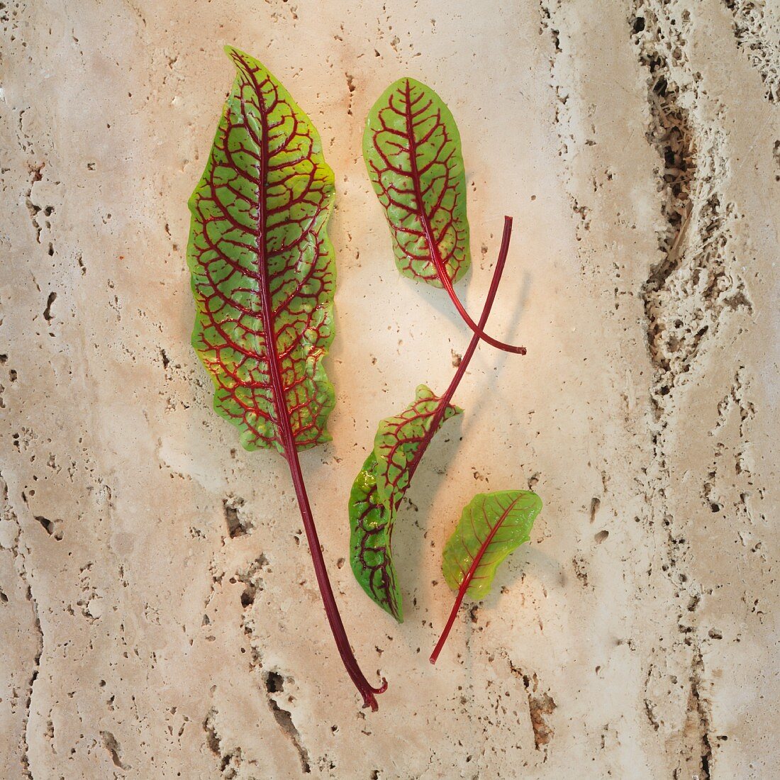 Red sorrel leaves