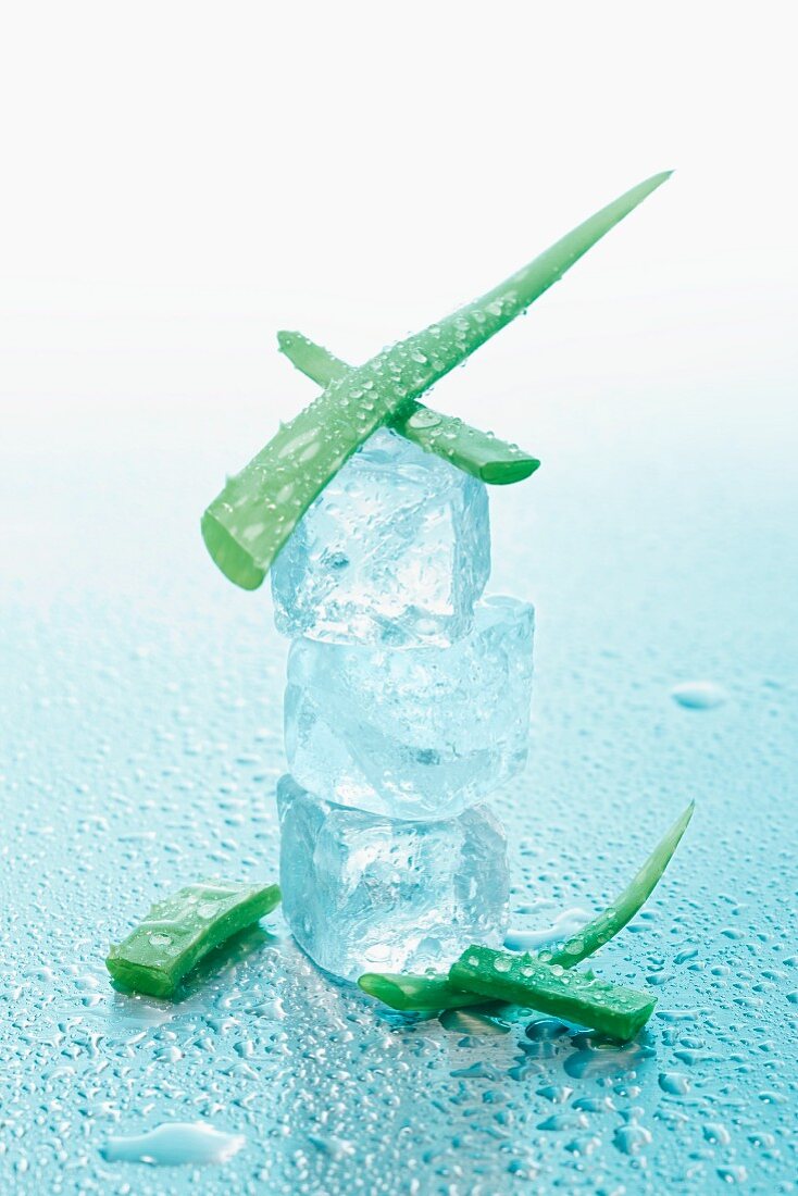 Aloe vera with ice cubes