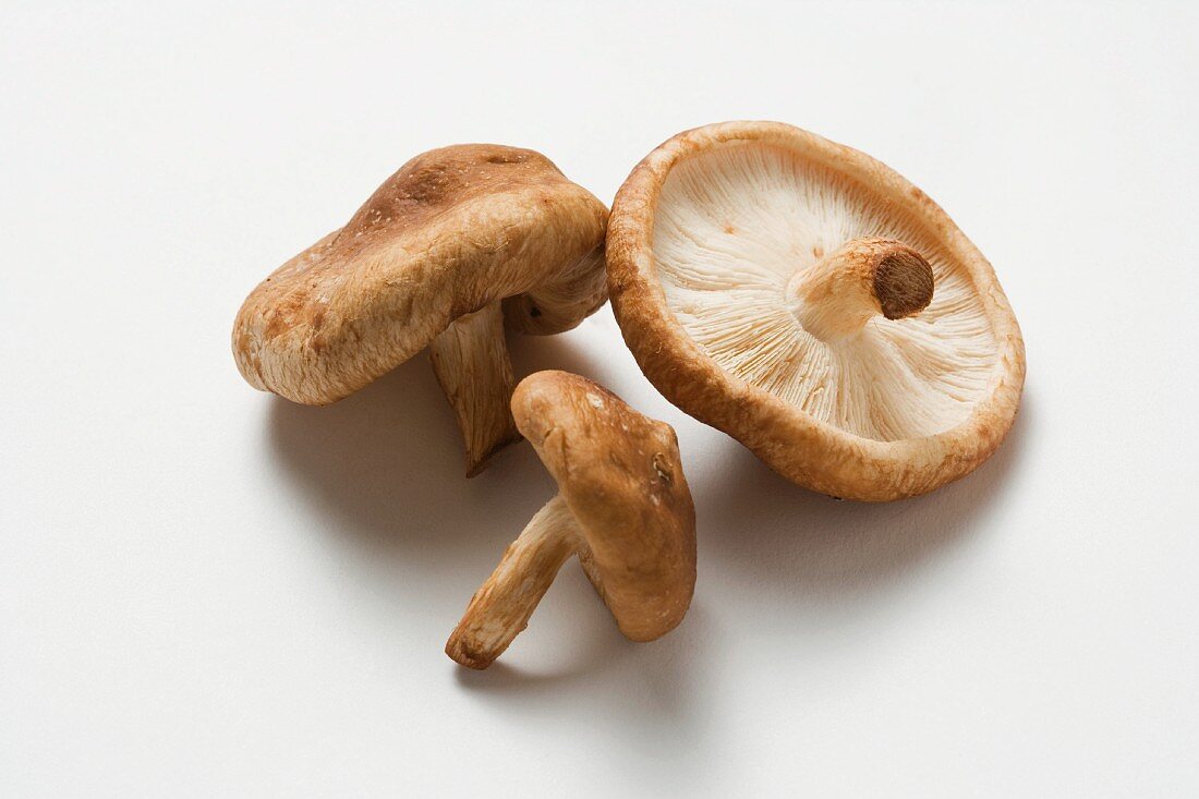 Three shiitake mushrooms
