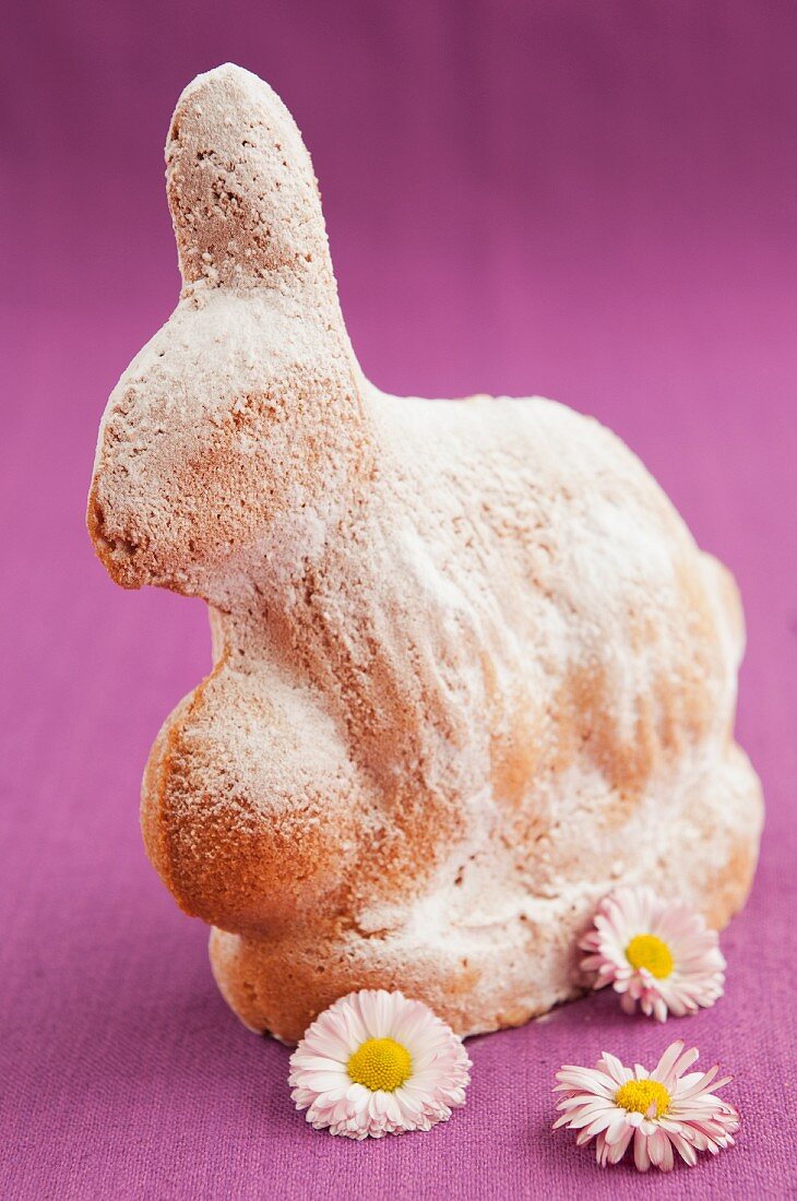 A baked Easter bunny dusted with icing sugar