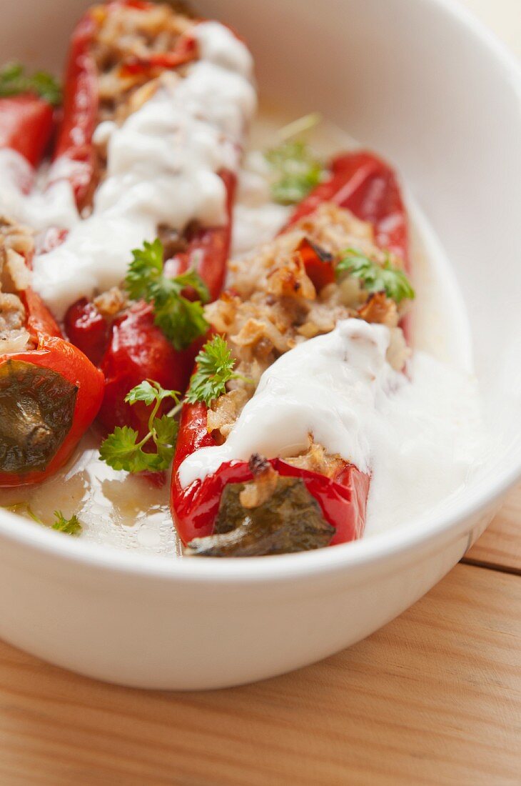 Paprikaschoten mit Reis-Hackfleisch-Füllung und Joghurtsauce