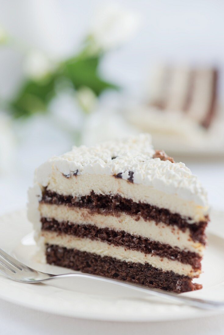 A slice of chocolate cream cake