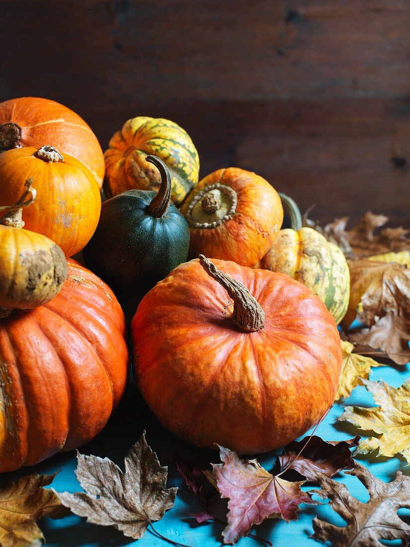 Various pumpkins with autumnal leaves