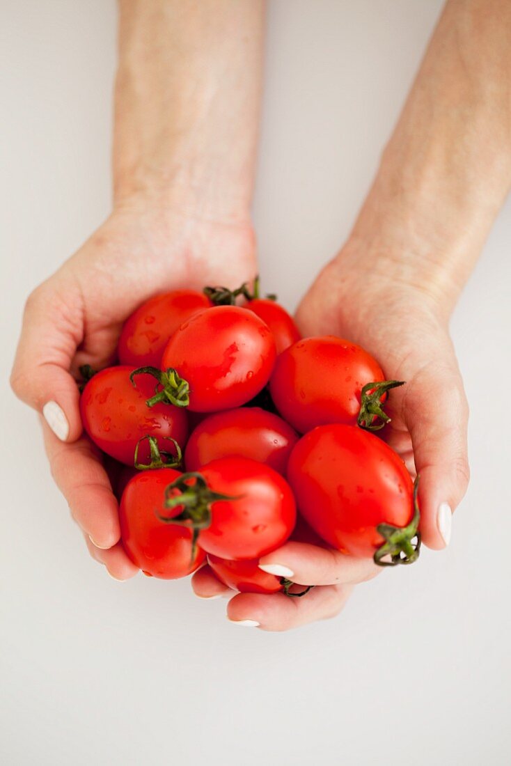 A woman's hands holding fresh tomatoes