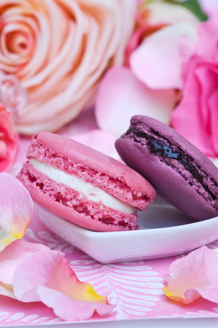 Rosa und lila Macarons umgeben von Rosenblättern