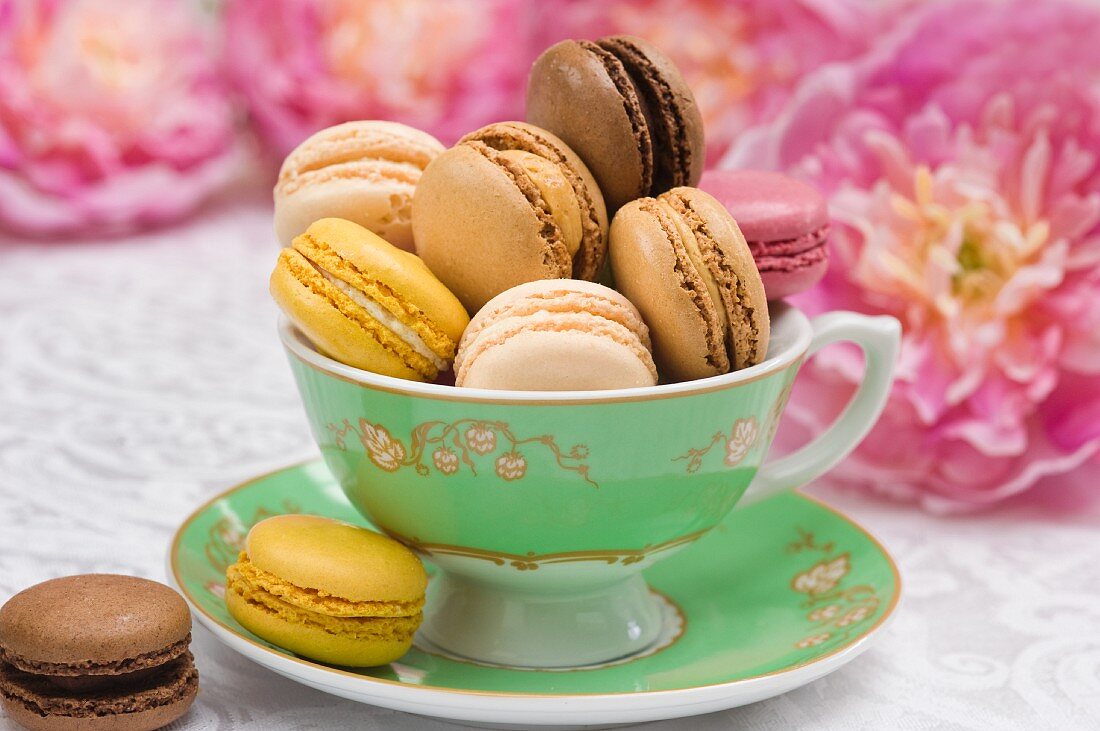 An elegant tea cup filled with colourful macaroons