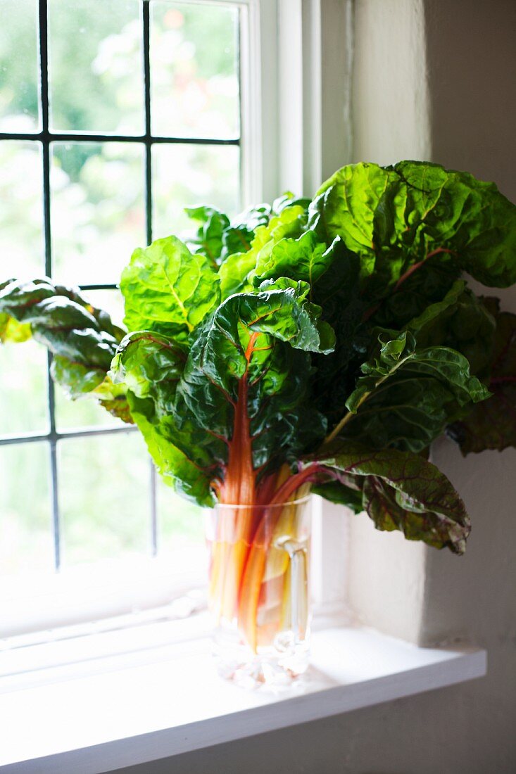 Red-stemmed chard in a glass jug