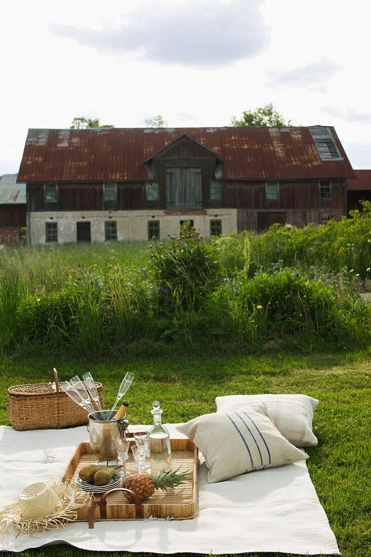 A classy picnic with champagne on a mown meadow outside an old farmhouse