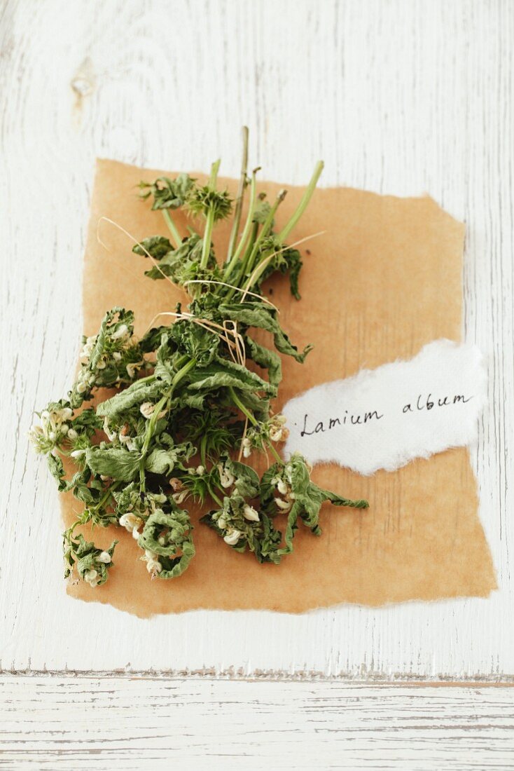 Dried white nettle (lamium album)