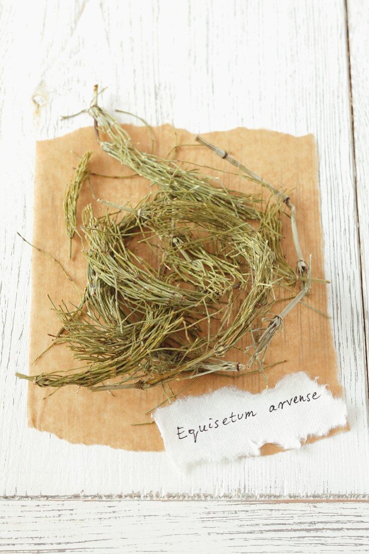 Dried field horsetail (Equisetum arvense)