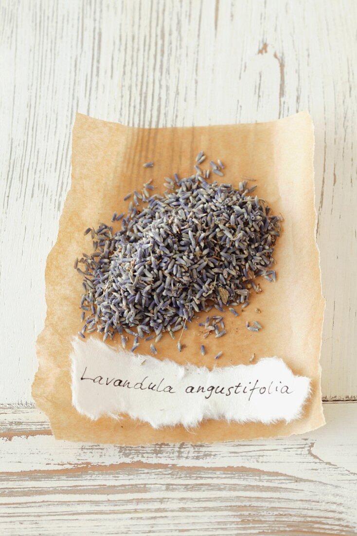 Dried lavender (Lavandula angustifolia)