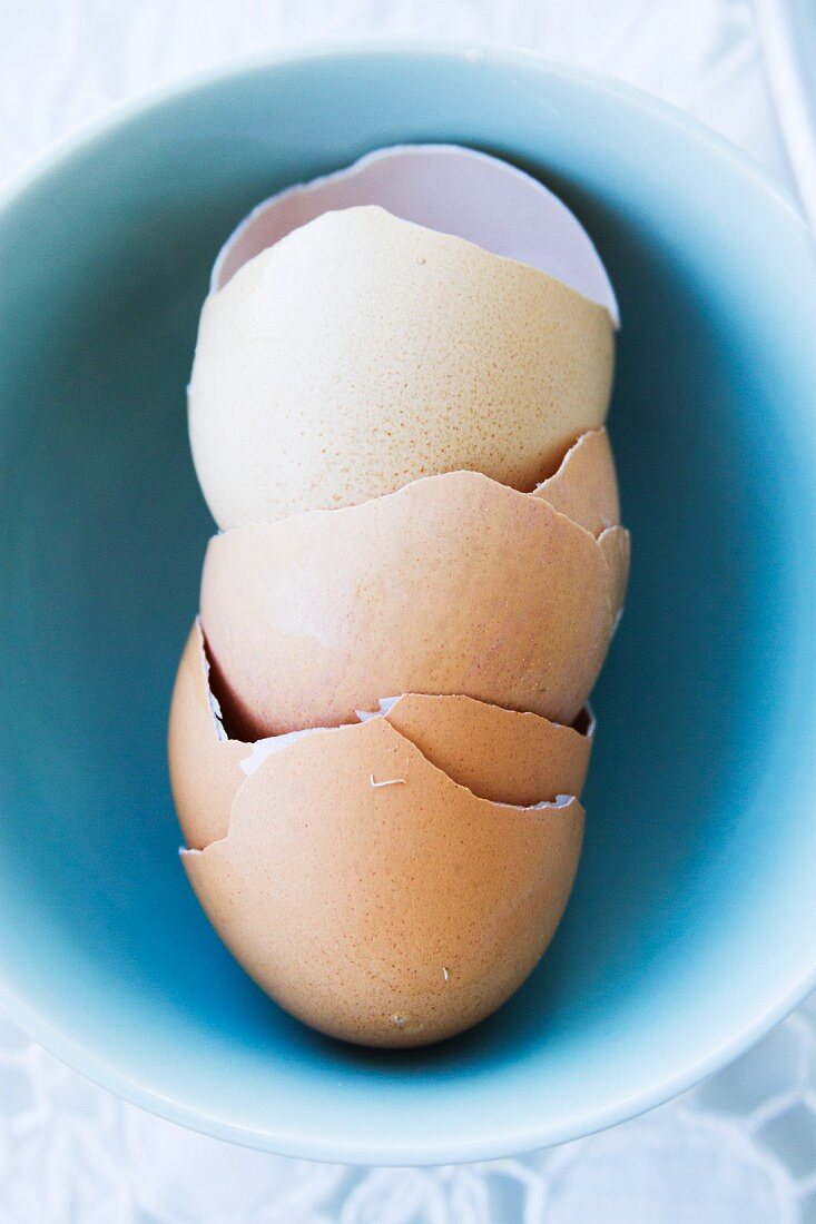 Eierschalen in einer pastellblauen Porzellanschüssel