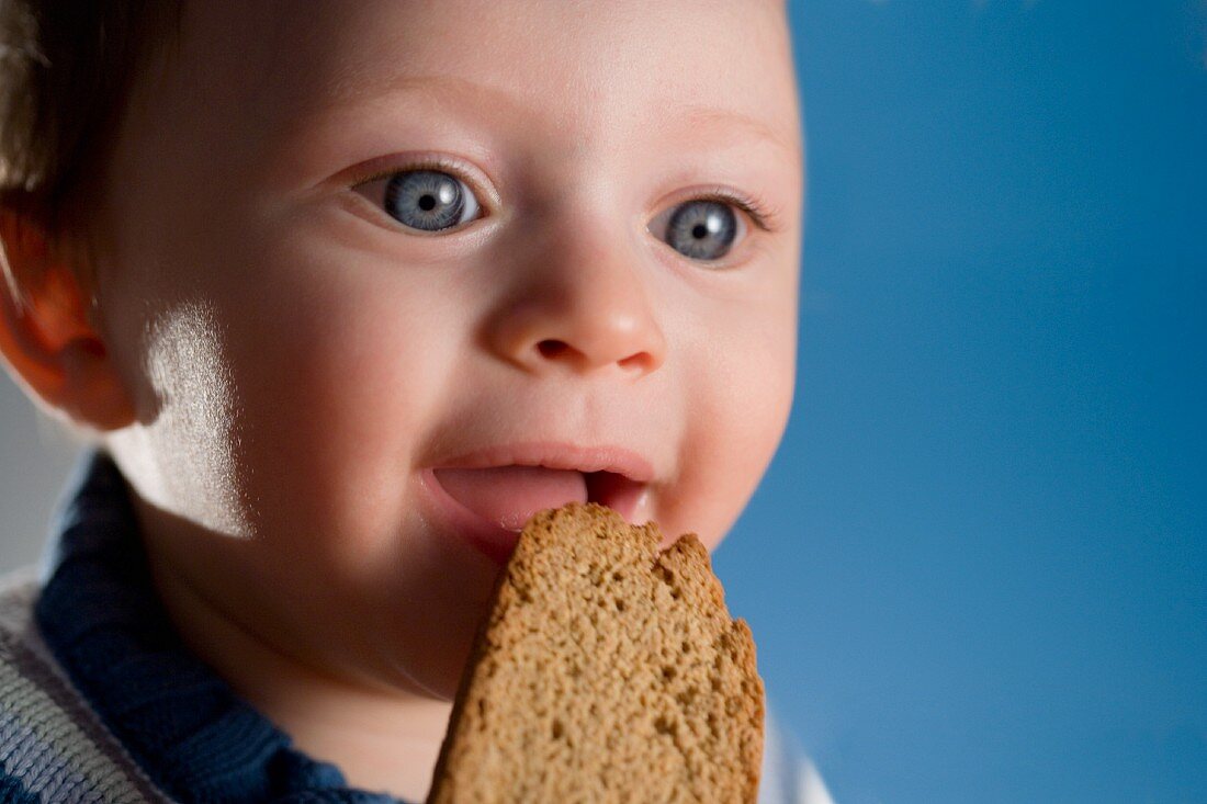 Toddler with a Piece of Whole Wheat Bread