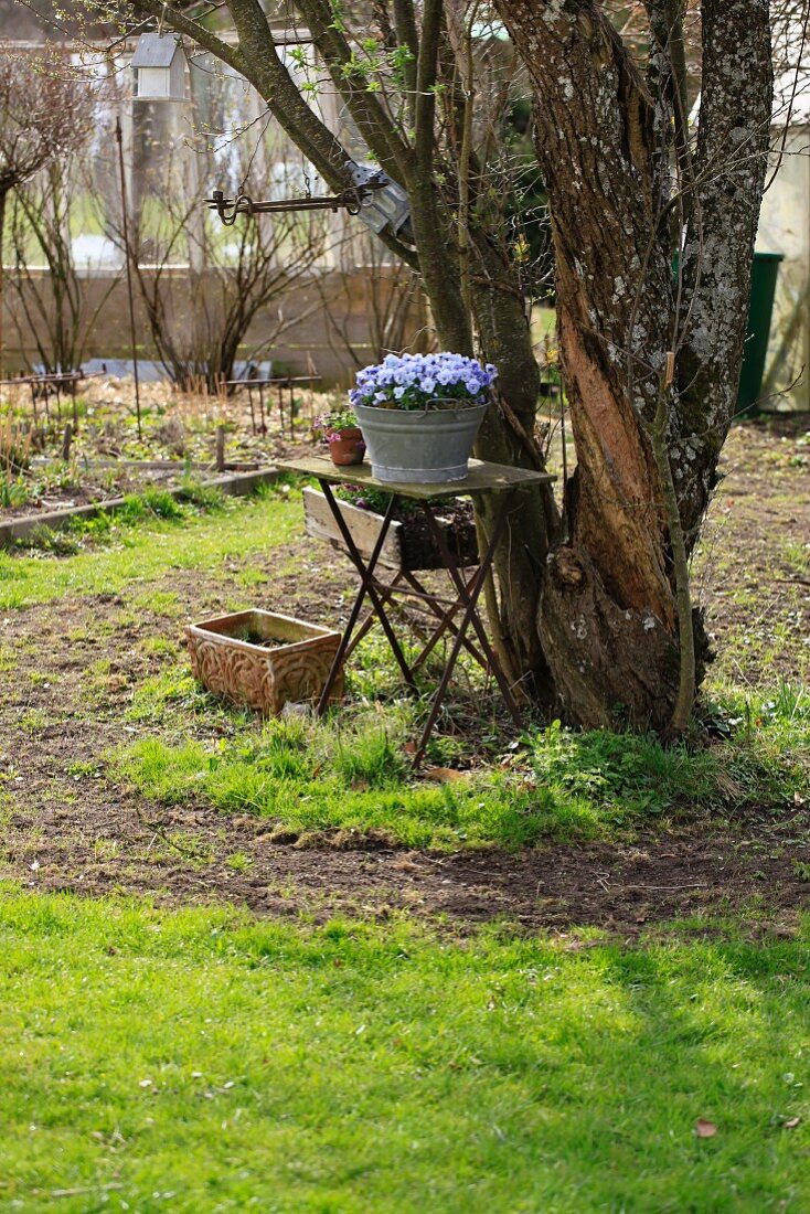 Vintage-Gartentisch mit violetten Blumen in einem Blechtrog vor einem alten Baum im Garten