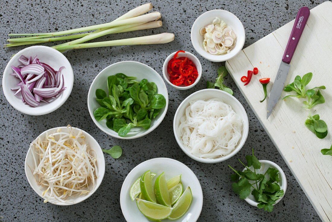 Einlagen für vietnamesische Suppe