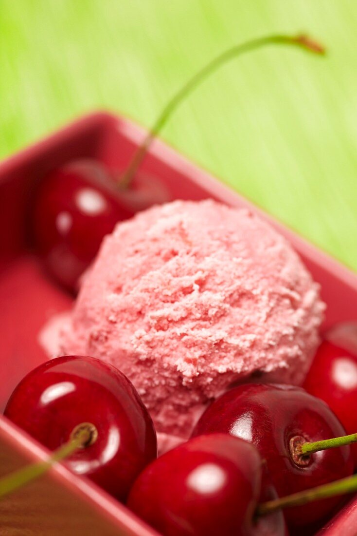 A scoop of cherry ice cream with fresh cherries