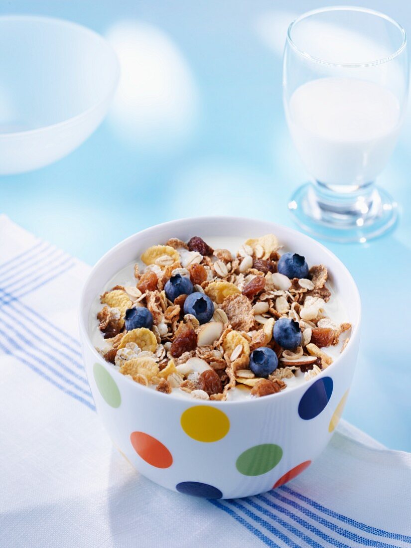 Müsli mit frischen Heidelbeeren und Dinkelflakes