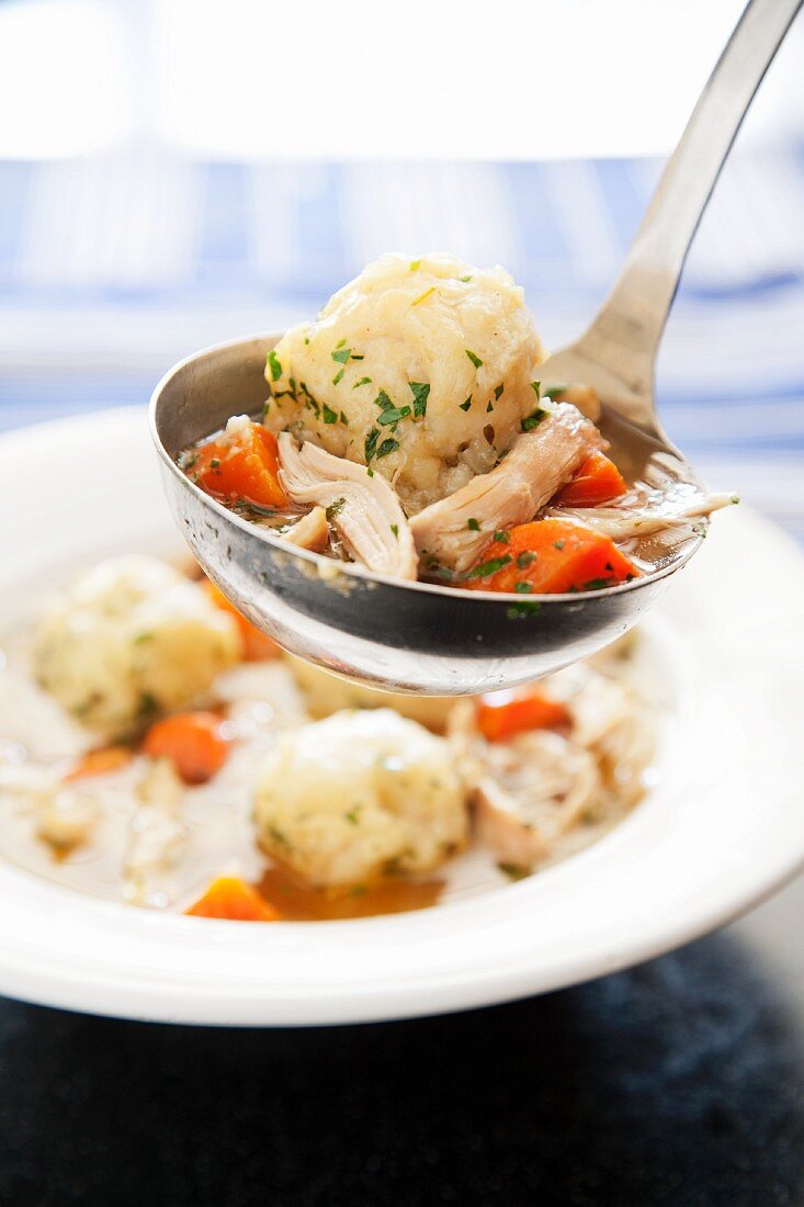 Ladle of Chicken and Dumpling Soup