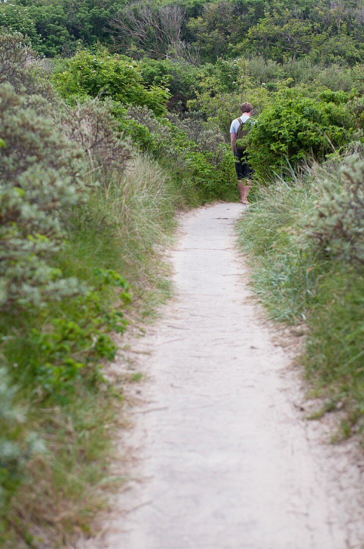 Man running along a narrow path through a green dune landscape