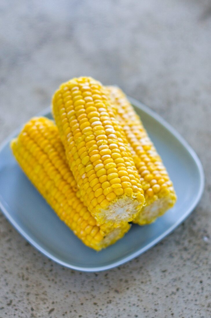 Three corn cobs on a light-blue plate