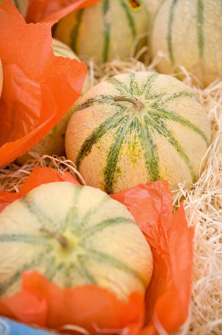 Melons at a market