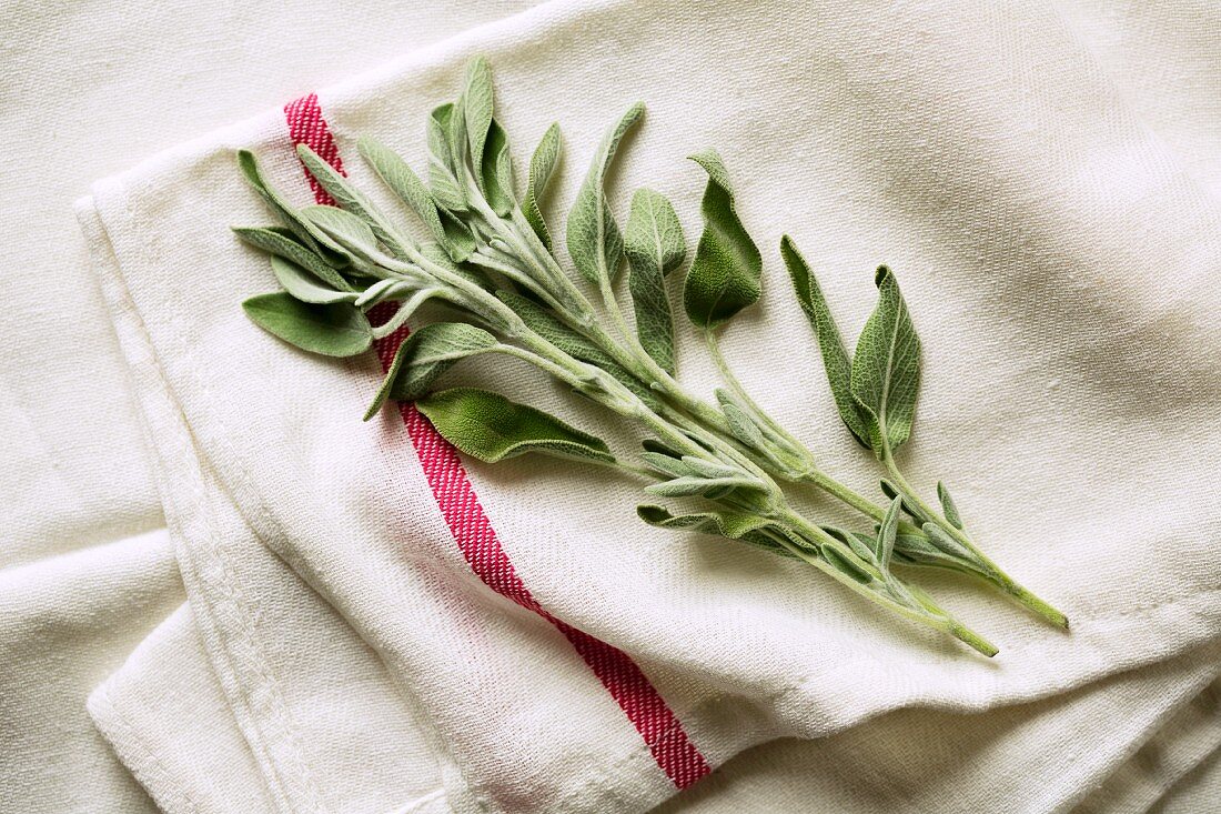 Fresh Sage on a Dish Towel