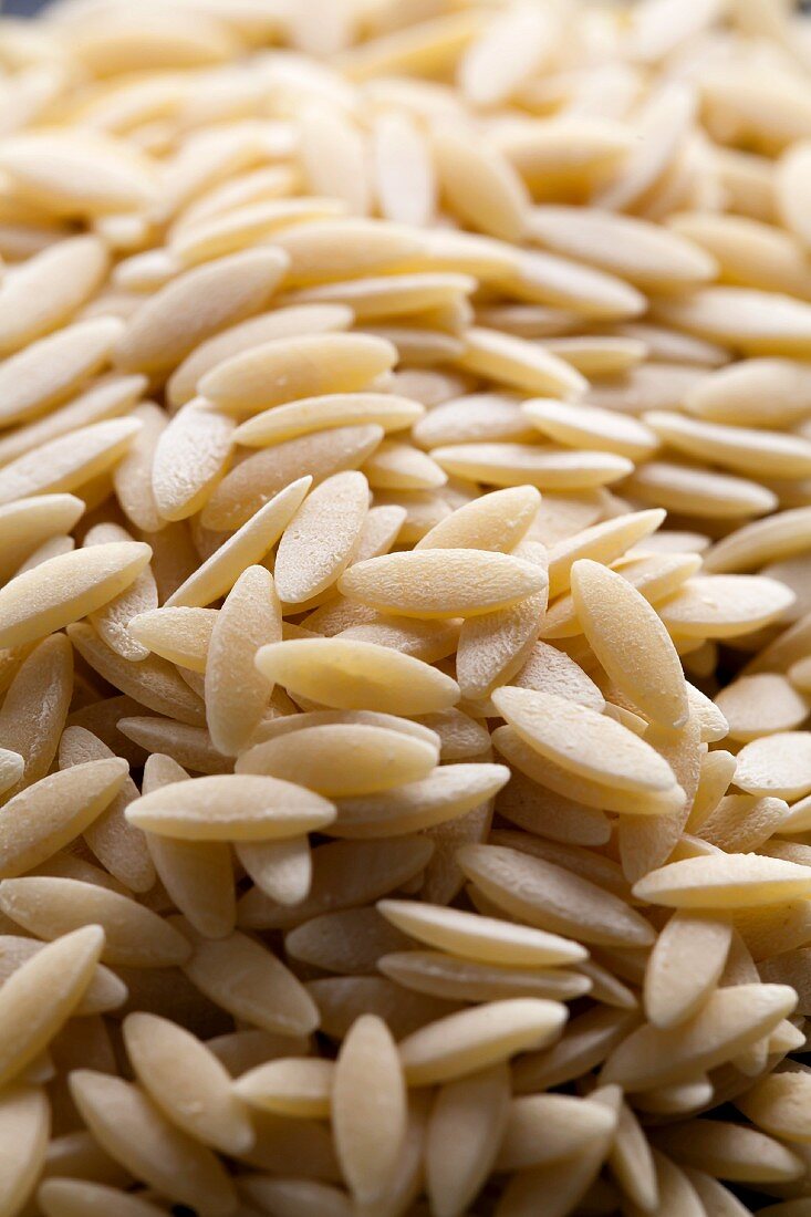 Uncooked Orzo; Close Up