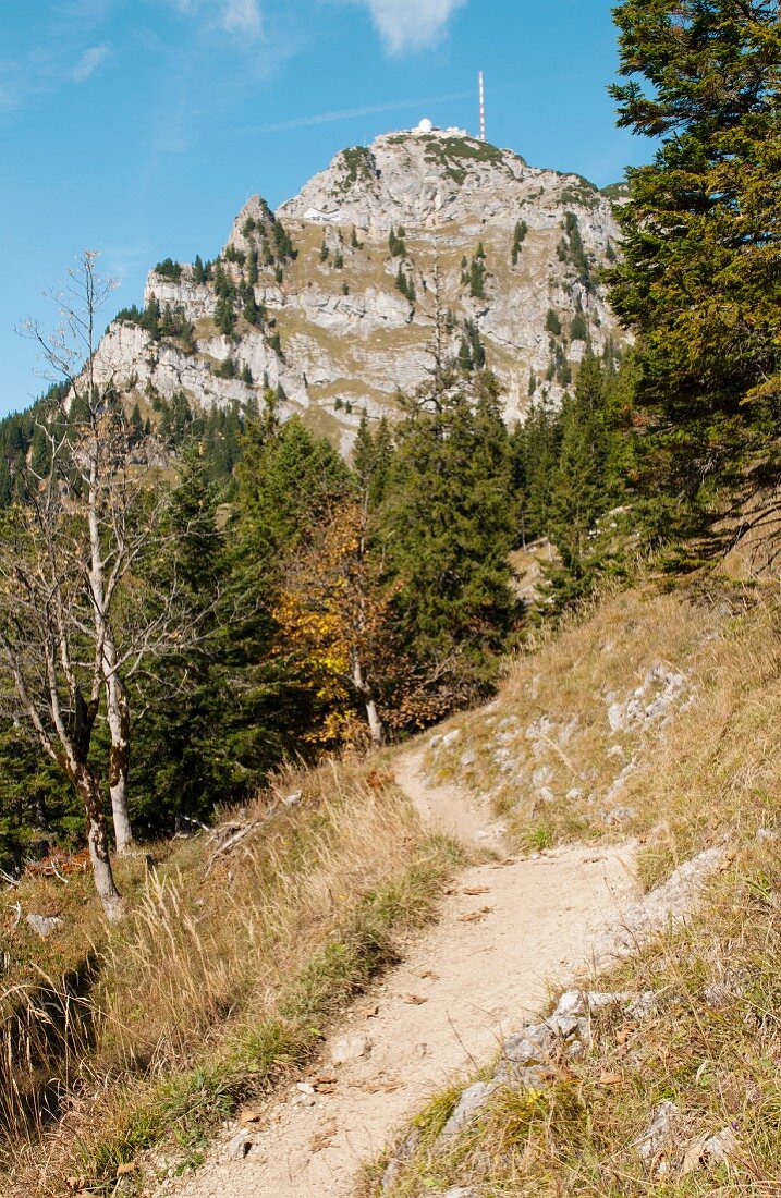 Hiking trail in the mountains (Wendelstein, Germany)